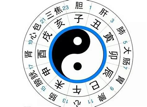 少陰意思|太阳，太阴，以及少阳，少阴都是表示什么？